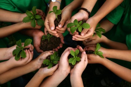 Confianza comunitaria 2/2